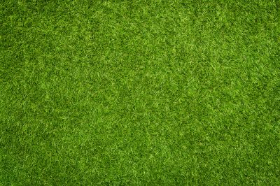 Artificial Turf Solutions For Commercial Properties