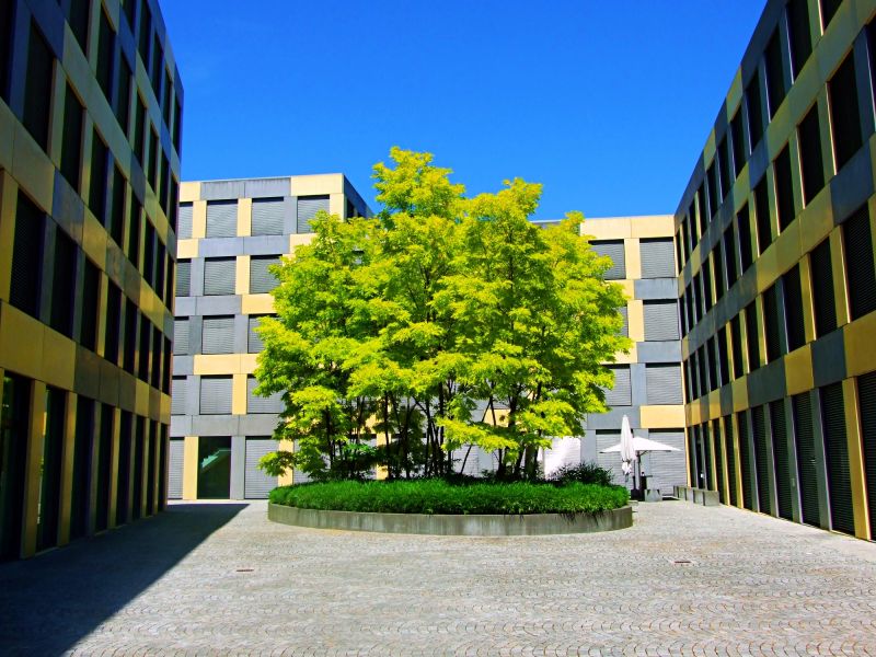Shared Courtyards
