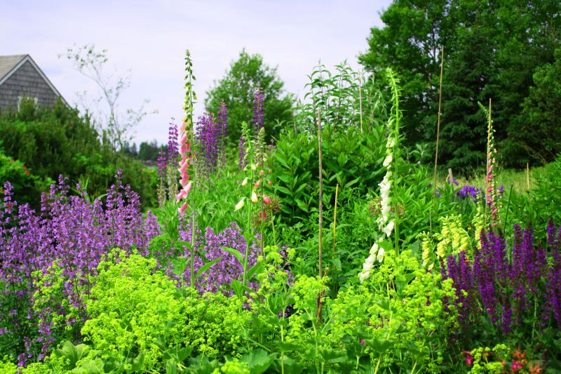 Diverse Plant Selections